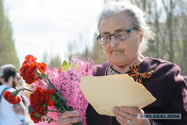 Дети, которых спас погибший летчик Мамкин, уже больше 70 лет продолжают бороться за память о нем