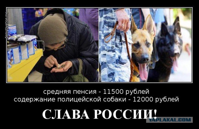 «Каждый десятый живет непонятно на что!» Чиновники пожаловались, что жители Карелии скрывают свои доходы