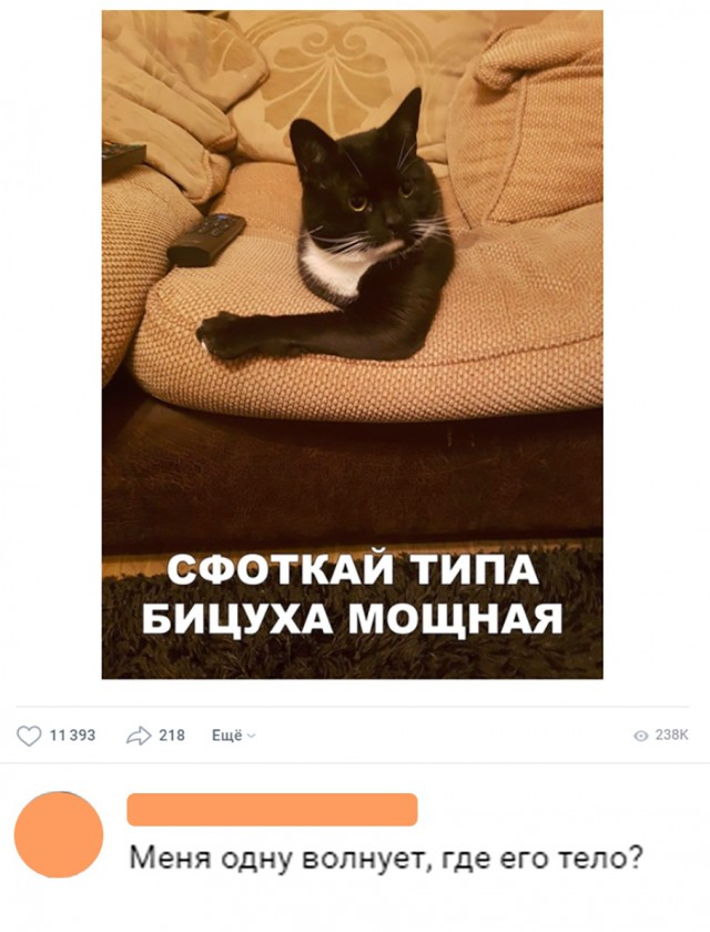 Прикольные картинки абавсём