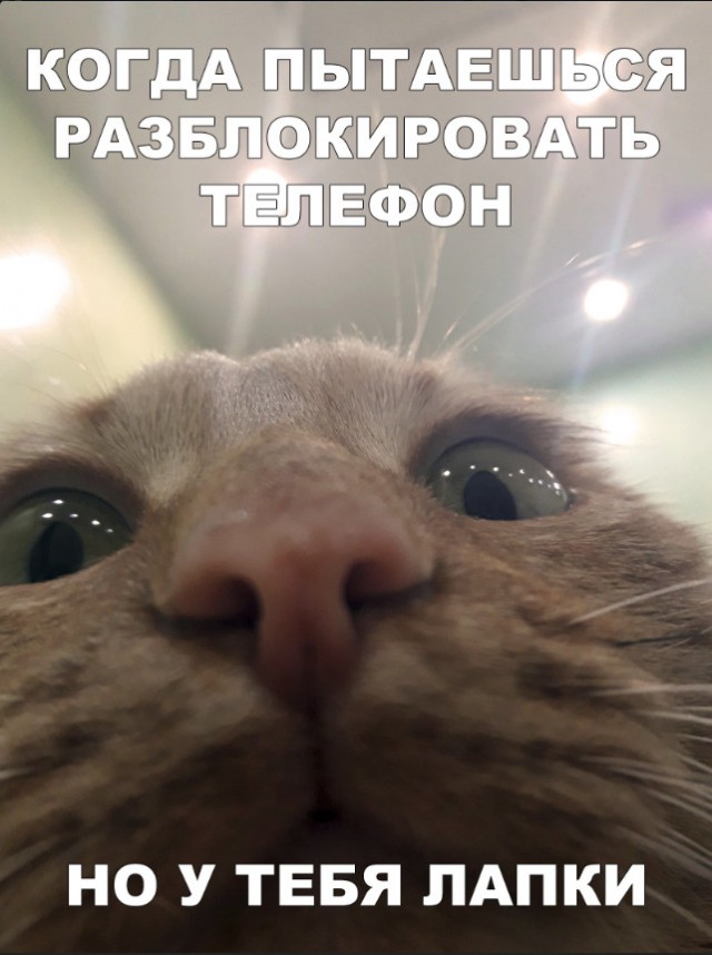 Немного милоты