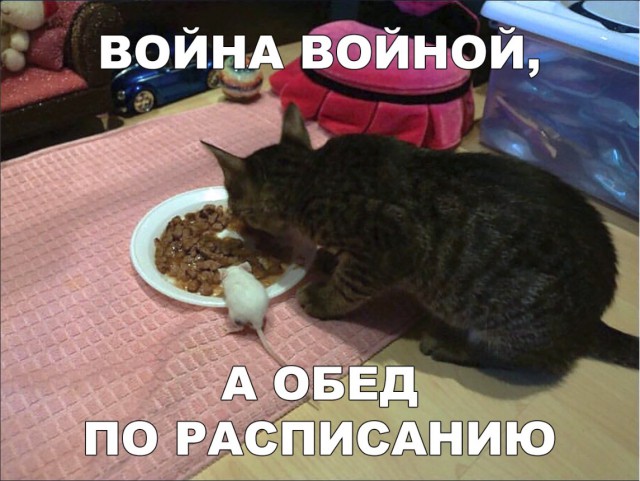 Нестандартный юмор