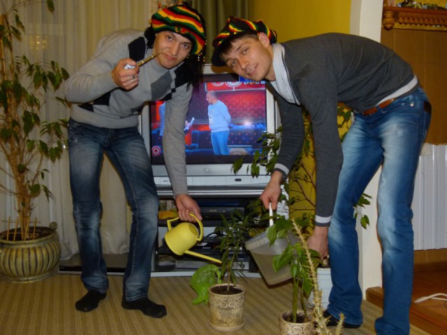 Чудики из социальных сетей