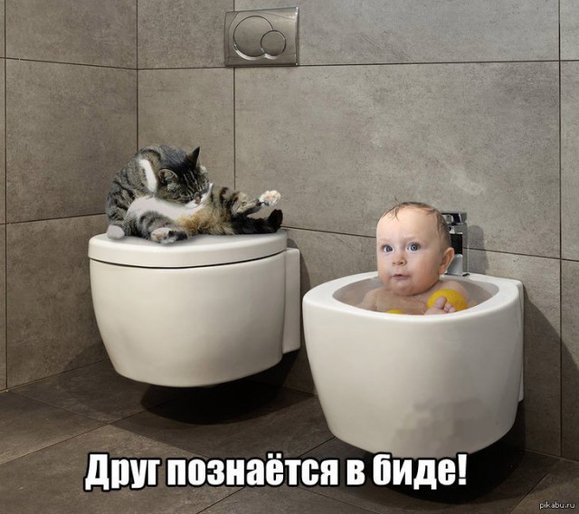 Доказательства того, что некоторые вещи лучше всего познаются в сравнении