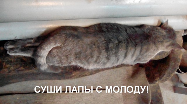 Лучшие работники заводов
