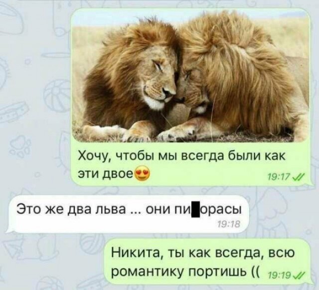 Убойные примеры чисто мужской логики, которая поражает женщин