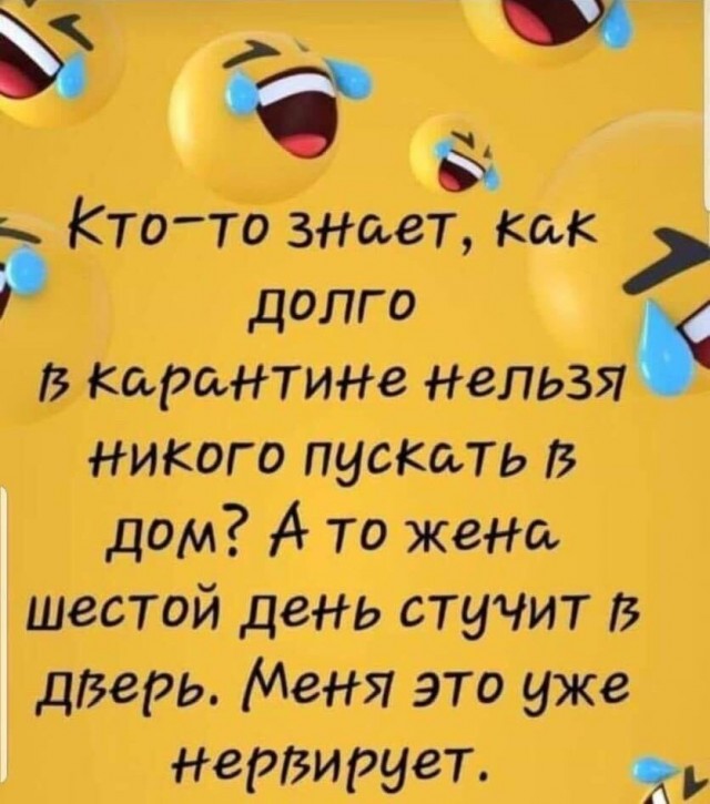 Чуток картинок 1 апреля