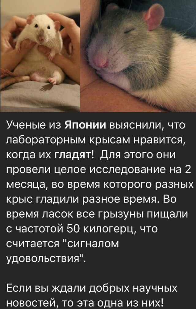 Так себе картинки 13.06.20