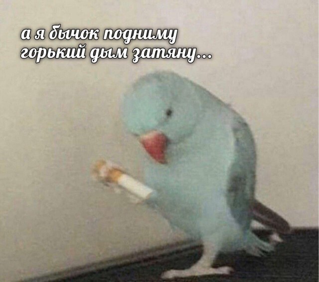 Чуток картинок 26.06.20