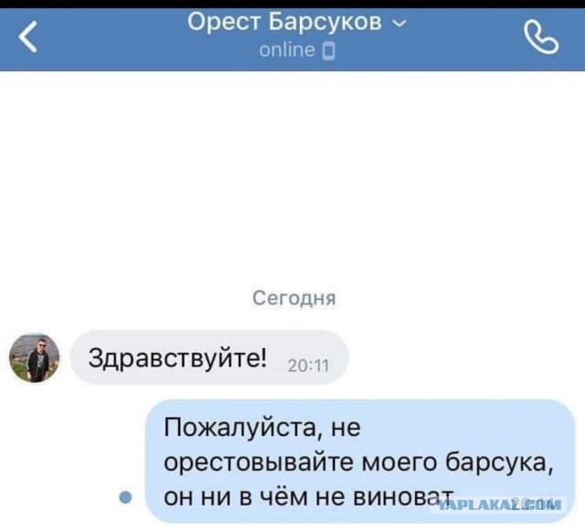Фотки и картинки: юморные и красивые, забавные и милые 21.09.20