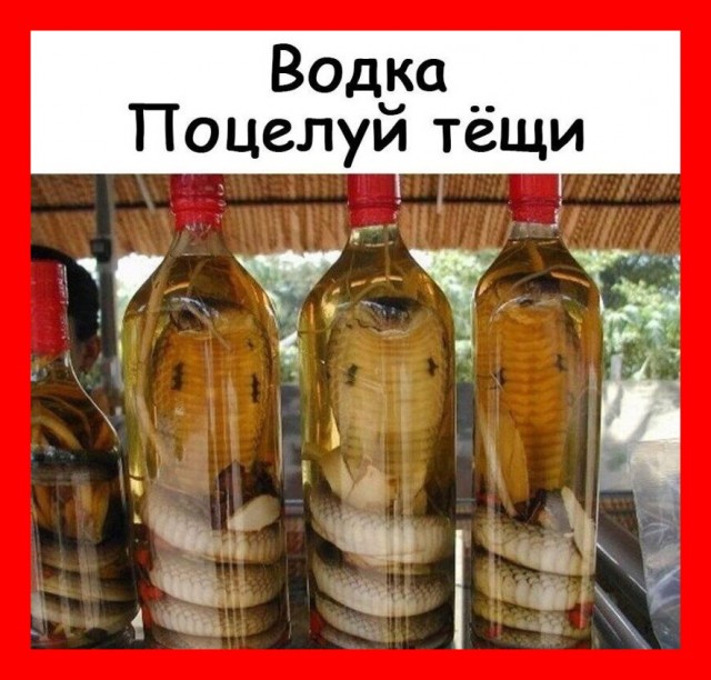 Веселые истории о нас №237