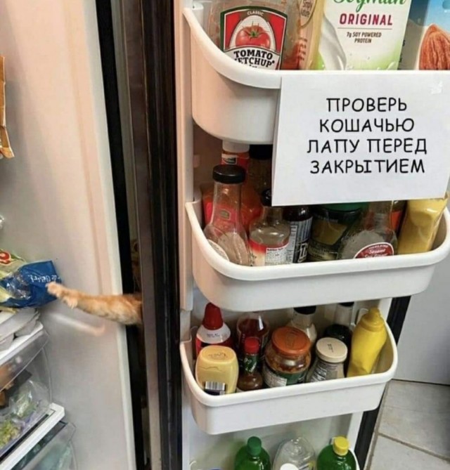 Бредзона 23.11.20