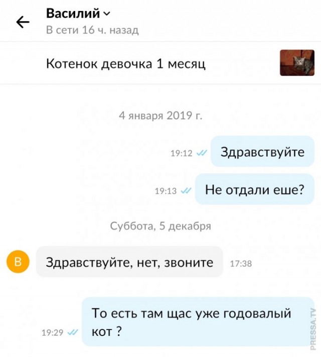 Картинки и мемы для настроения 008