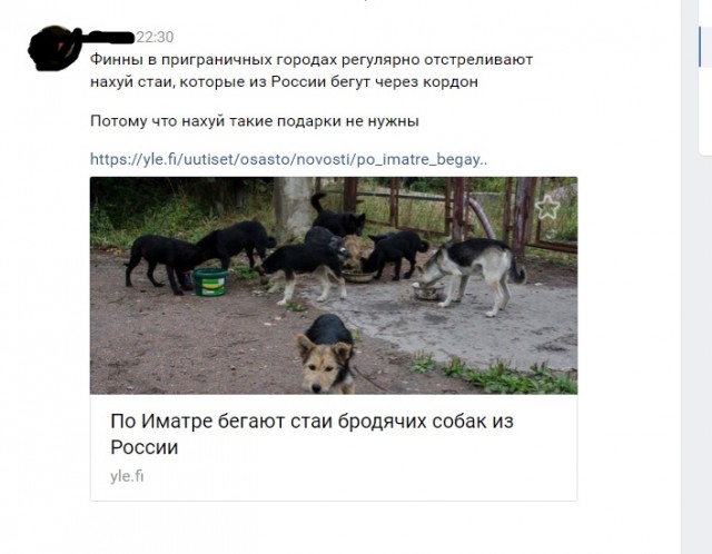 В Госдуме единороссы предложили гуманно убивать бездомных животных