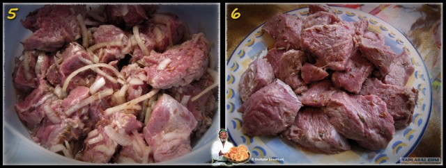 Фасоль – International, Или «Веселые нотки»