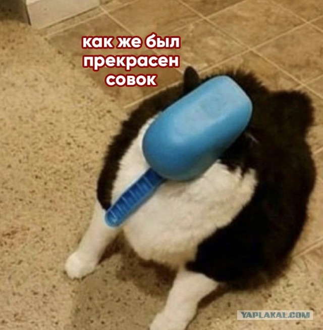 Микроволновки придумали в СССР, а разбогатели на этом японцы