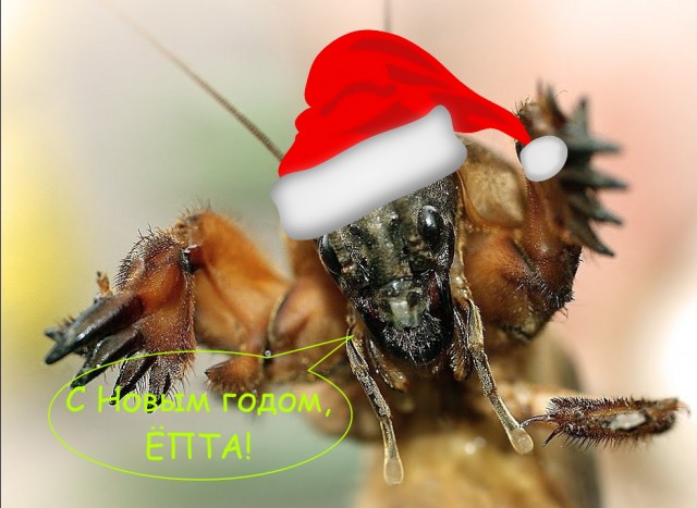 Это не наш мир