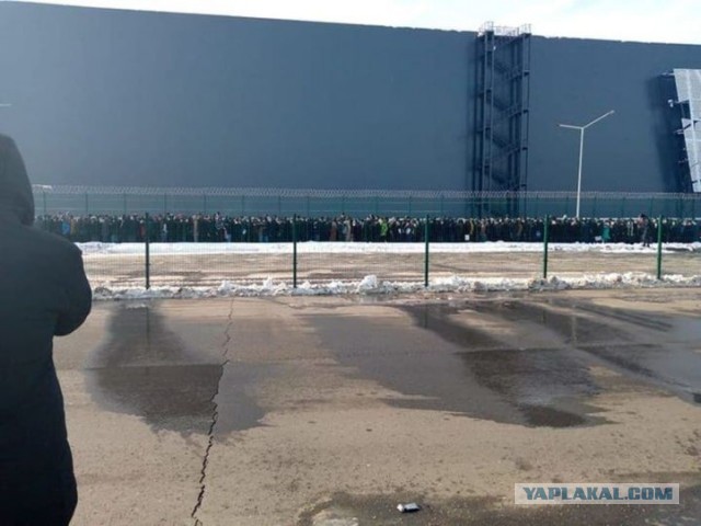 Чудовищные очереди из мигрантов в Москве