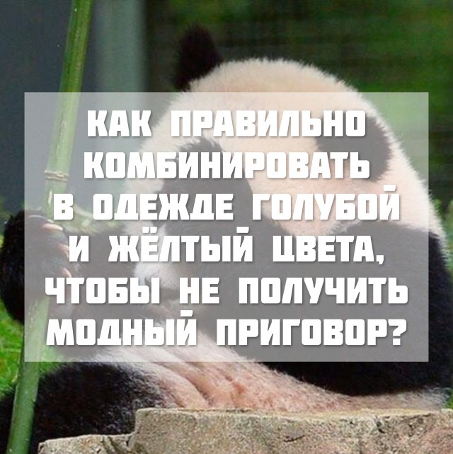 Ненси Пелоси официально прибыла на Тайвань