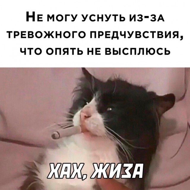 Картинки и мемы, всем хороших выходных