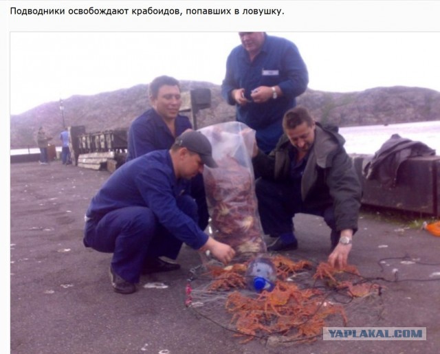 Советский и российский подводный флот в фотографиях