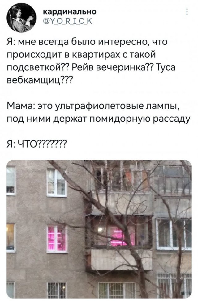 Картинки и мемы для настроения - 137