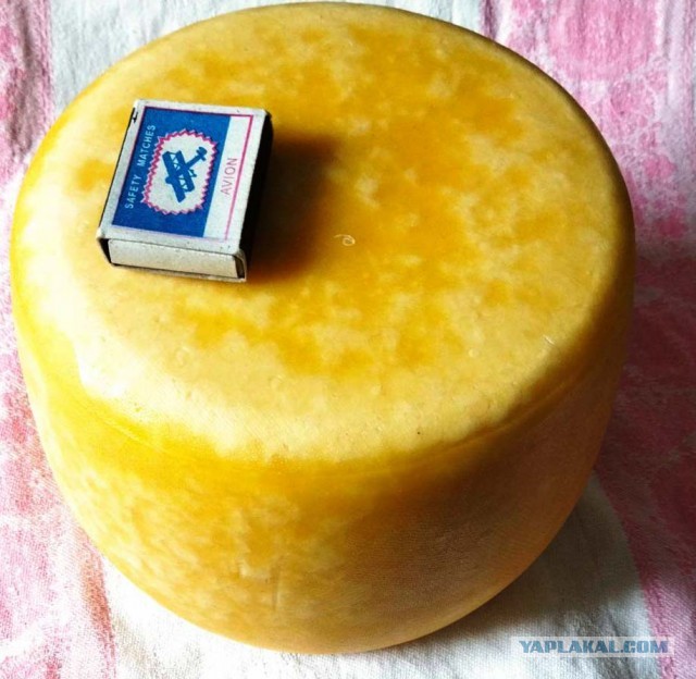 Сыр Маасдам