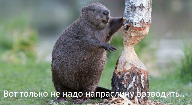 Бог шельму метит