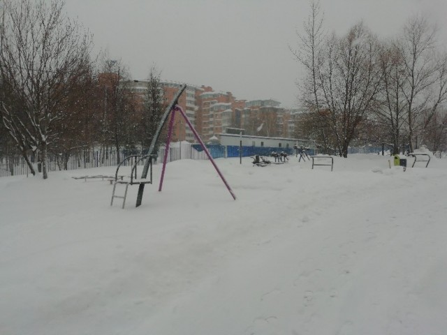 Москву накрыло