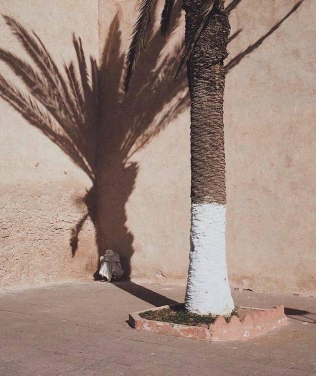 ФотоВинегрет
