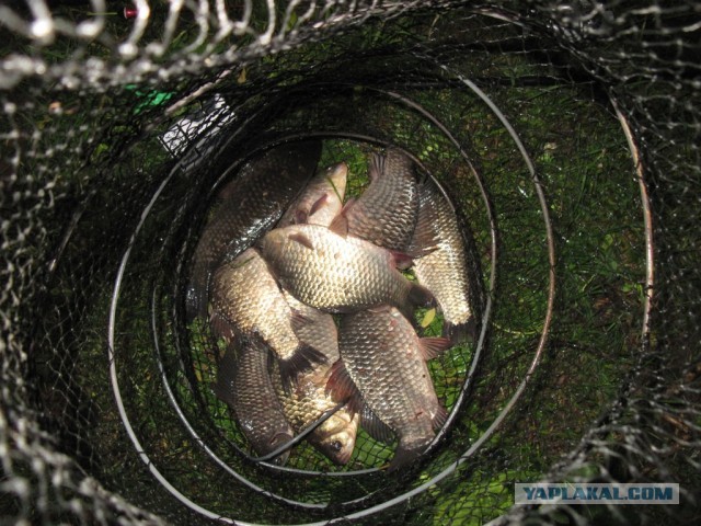Рыбалка в ближайшем подмосковье