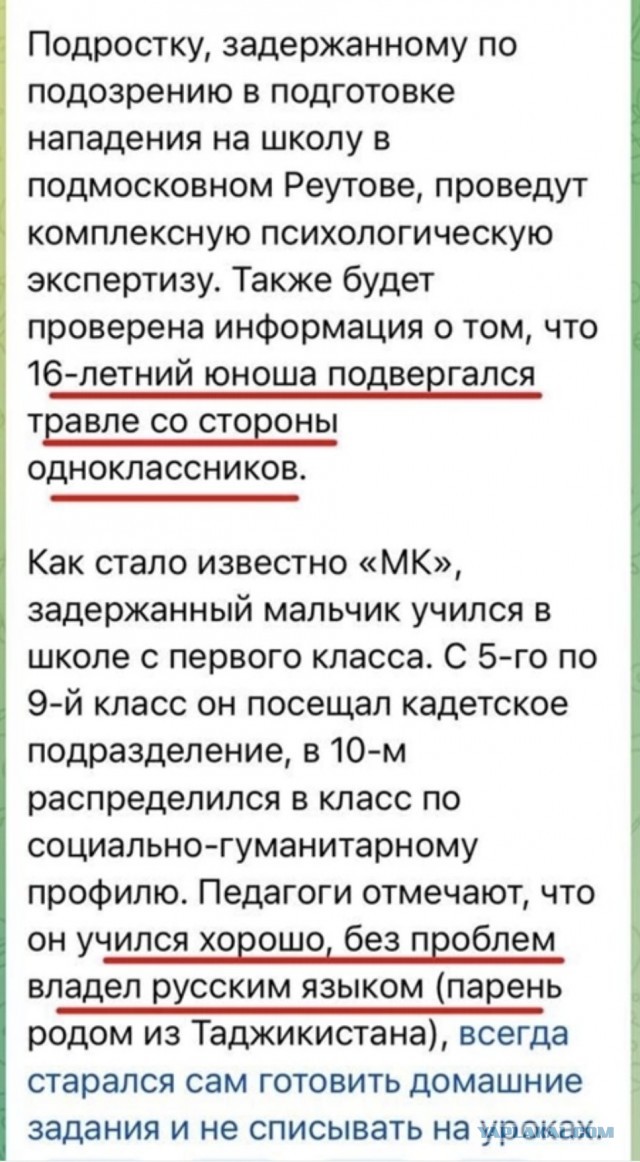В Реутове предотвратили нападение на школу, которое готовил десятиклассник