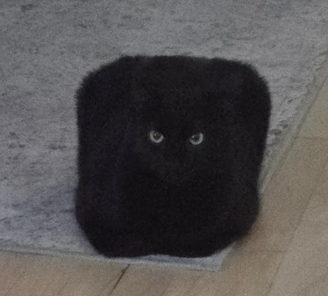 Буханочка чёрного