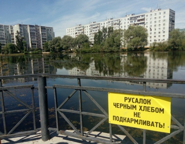 Так себе картинки 01.09.25