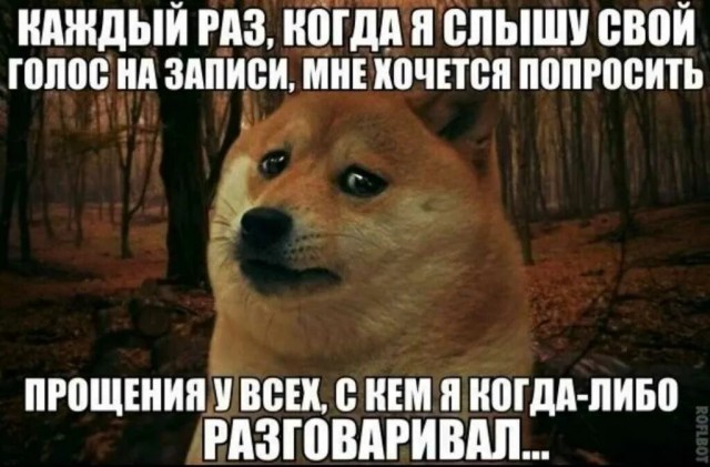 Почему нам не нравится свой голос в записи?