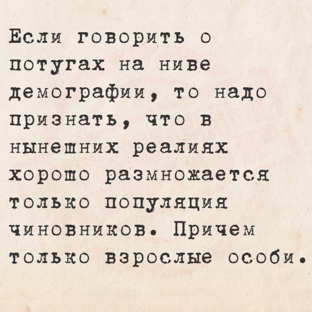 Субботние картинки