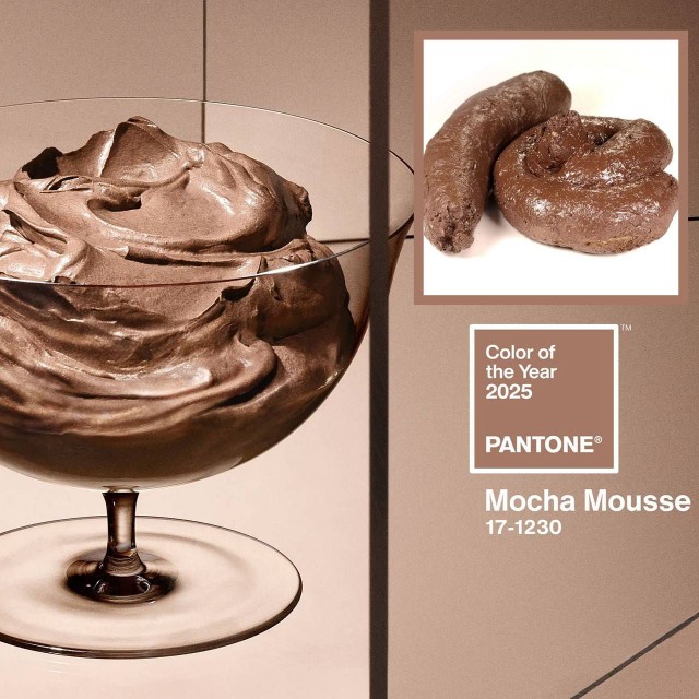 Pantone обвинили в расизме за объявление белого оттенка цветом 2026 года