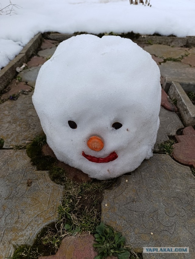 Лучший снеговик
