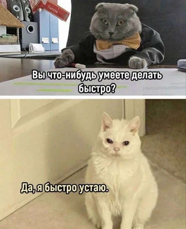 Прикольные и просто красивые картинки 06.01. 2026
