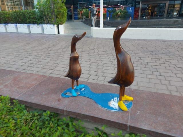 Дубайск в декабре