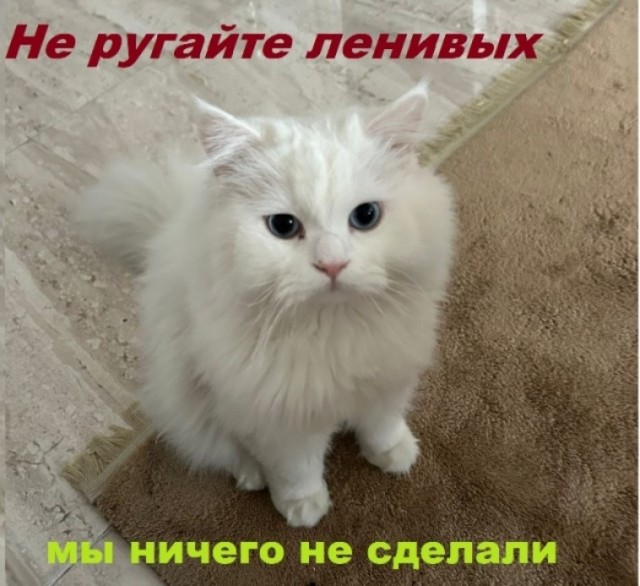 Картинки разные с надписями и без