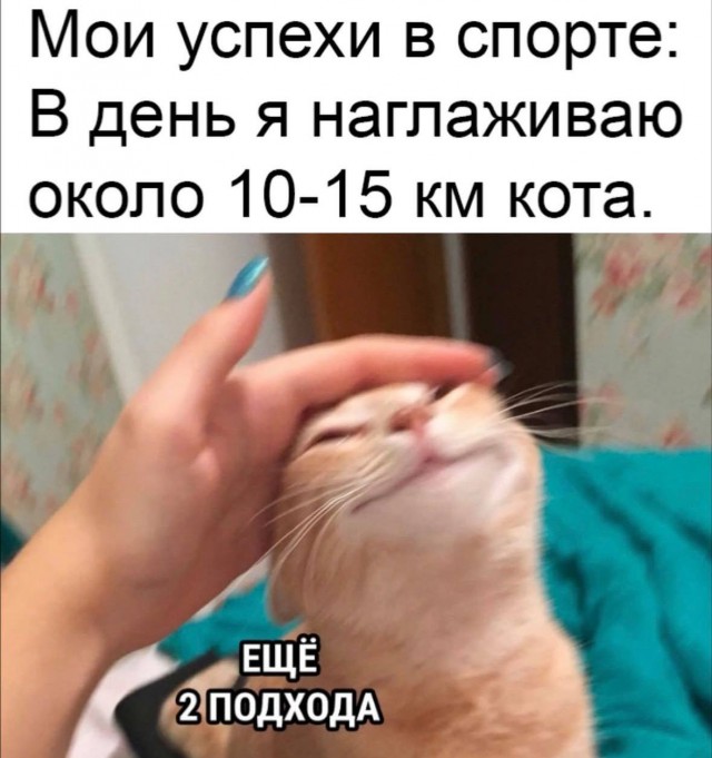 Картинки для деградации 133 (разной степени свежести)