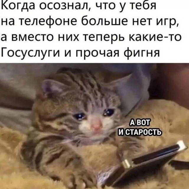 Прикольные комментарии для поднятия настроения: «Это был мой пик»