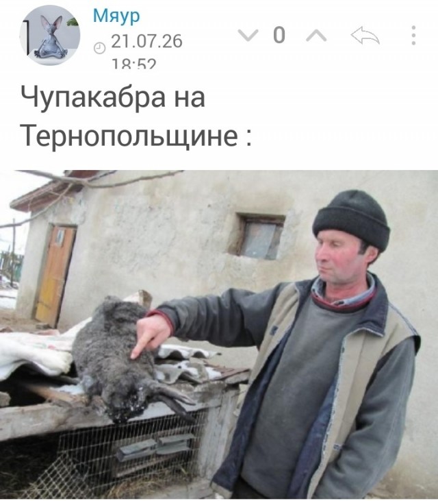 Здарова, мужики !