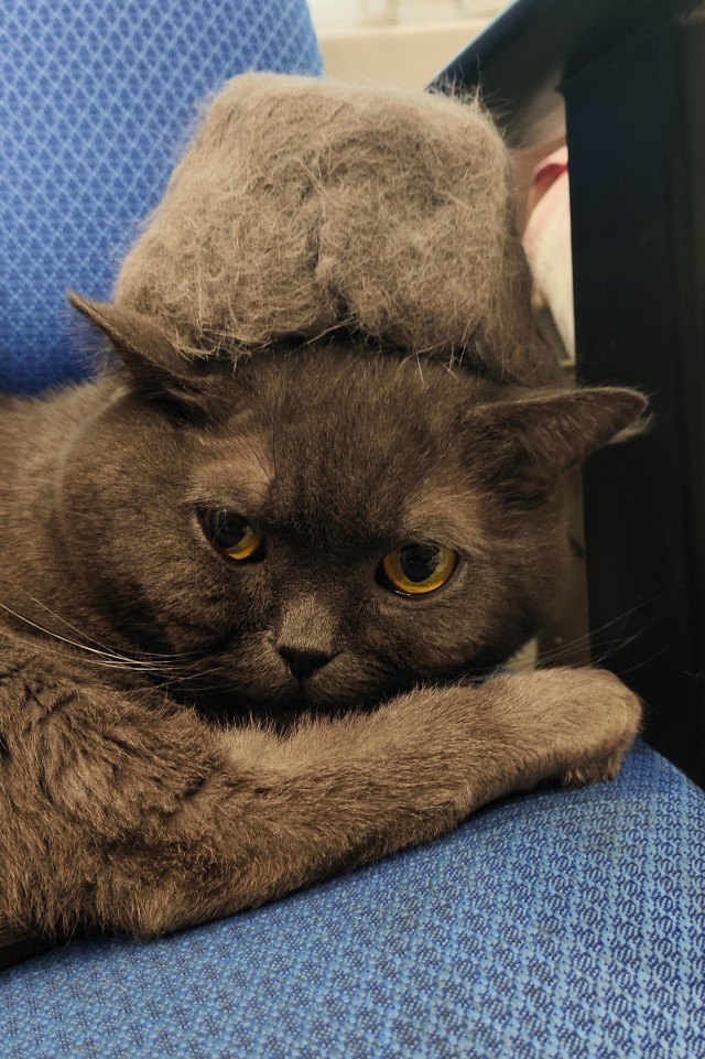 Чесалка.