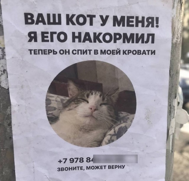 Нуштош. Поиск сатанической пыльцы (s6e2)