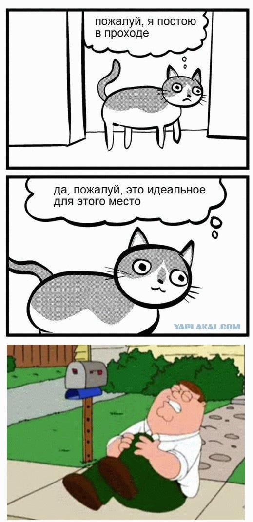 Идеальное место!