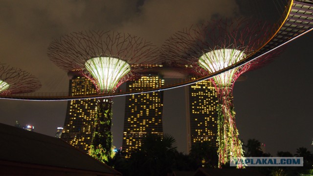 Сингапур. Гостиница "Марина Бэй"