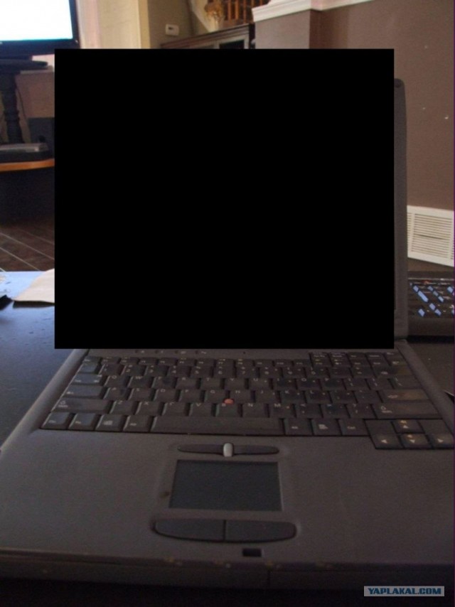 Что сын нашел сегодня в парке