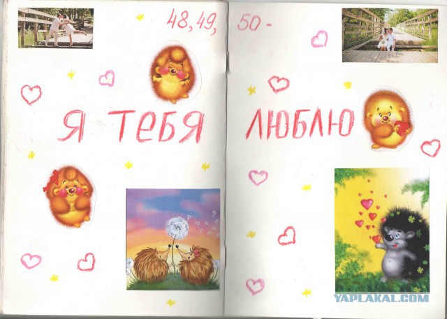 Ежиная книга