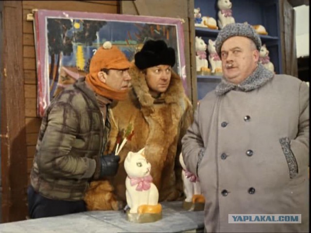 Личный кинотеатр во дворе дома